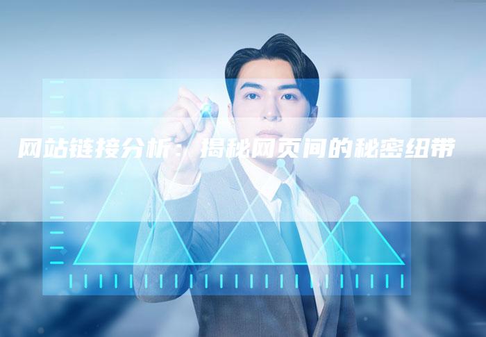 网站链接分析：揭秘网页间的秘密纽带