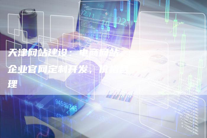 天津网站建设：电商网站、企业官网定制开发，价格合理