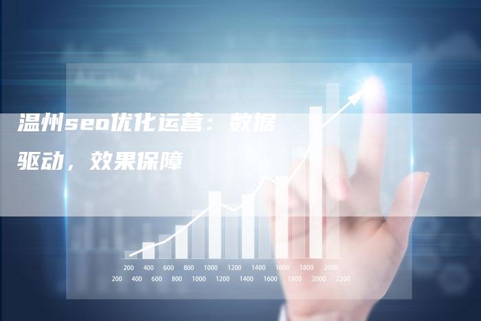 温州seo优化运营：数据驱动，效果保障