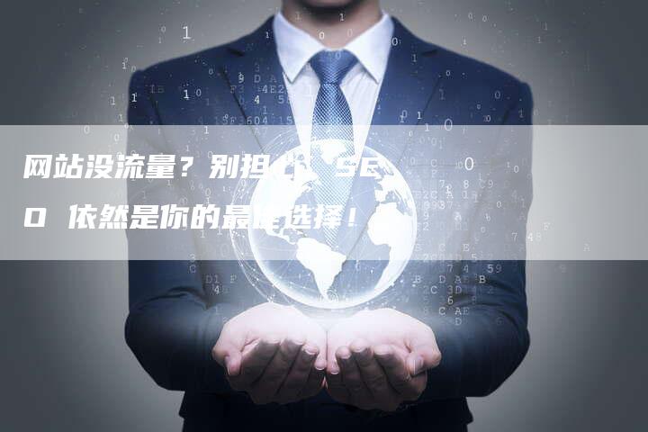网站没流量？别担心，SEO 依然是你的最佳选择！
