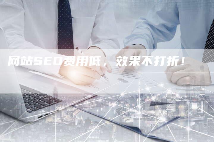 网站SEO费用低，效果不打折！