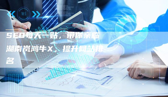 SEO每天一贴，带你亲临湖南岚鸿牛X，提升网站排名