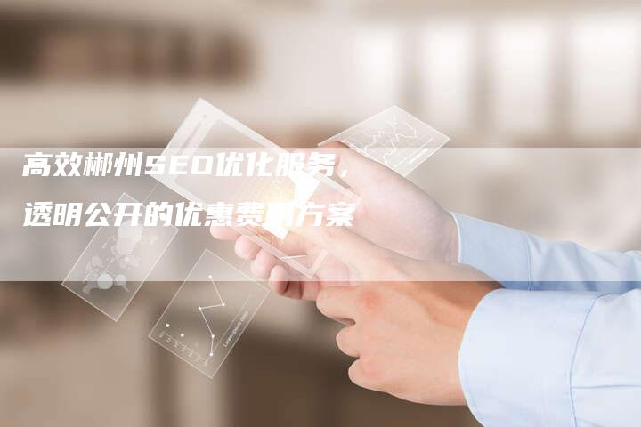 高效郴州SEO优化服务，透明公开的优惠费用方案